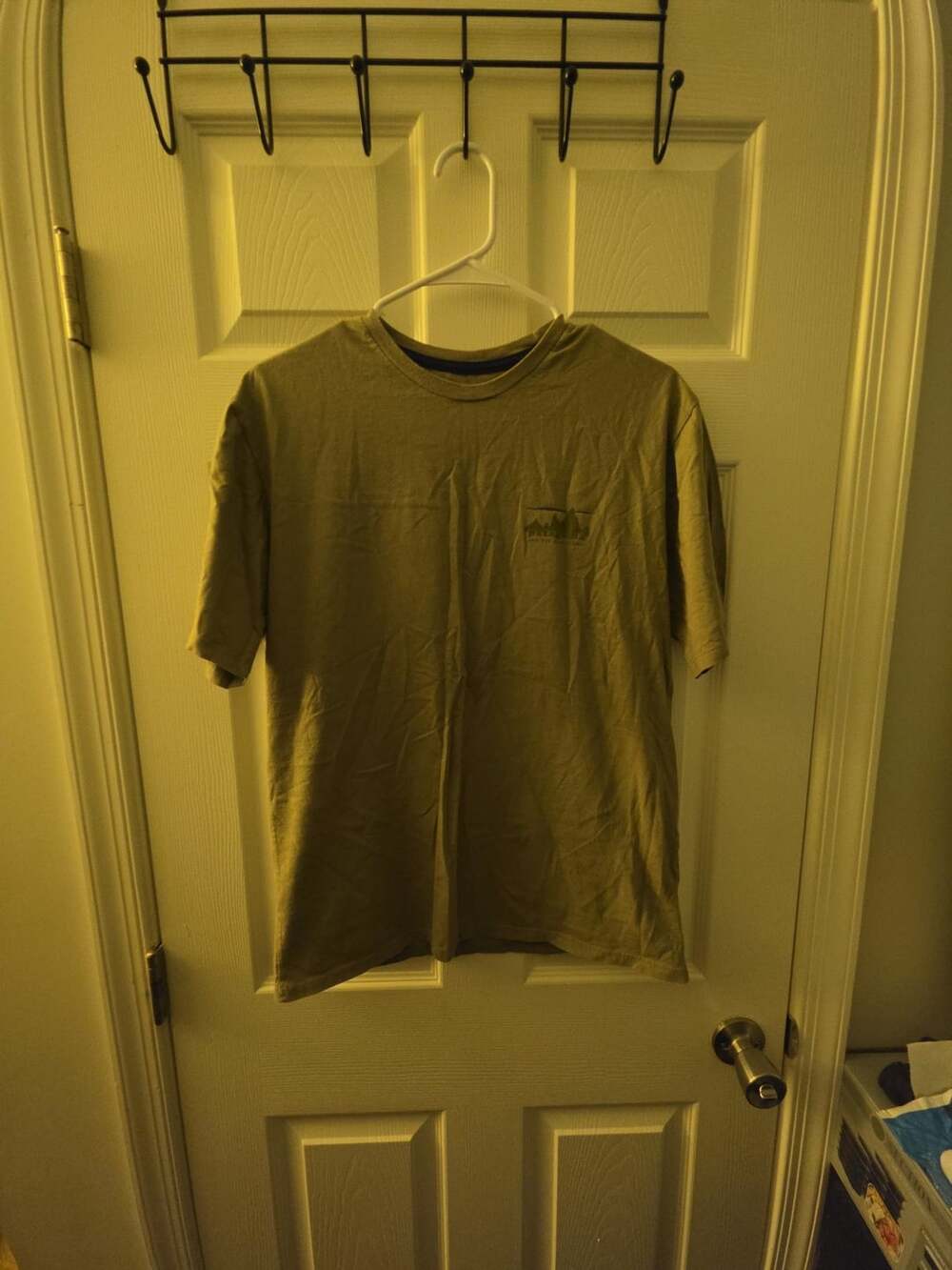 Patagonia Strataspire Responsibili-Tee Size S Green Graphic T-Shirt